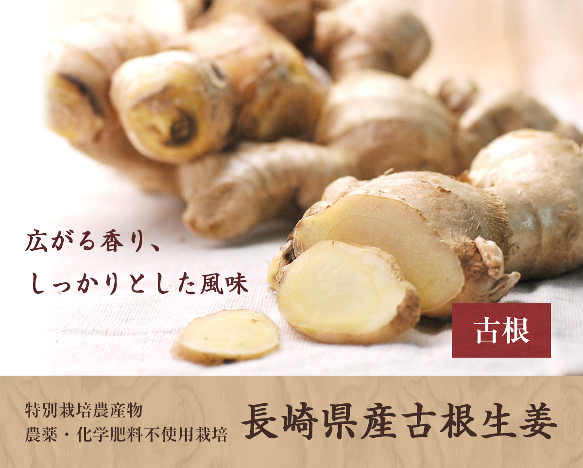 囲い生姜 無肥料 農薬栽培期間中不使用 露地栽培 熊本県産 1kg - 野菜