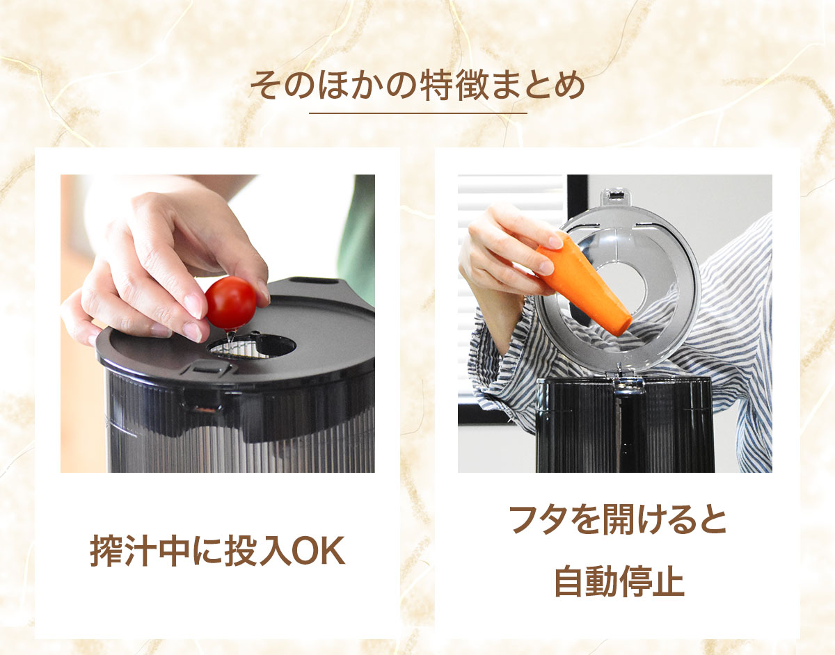 HUROM（ヒューロム） 特典10％OFF 2024年最新 ジューサー スロー