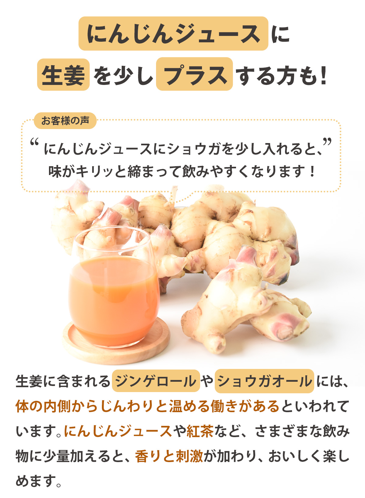 生姜 無農薬 1kg 2kg 3kg 4kg 長崎県産 国産 古根 しょうが ショウガ