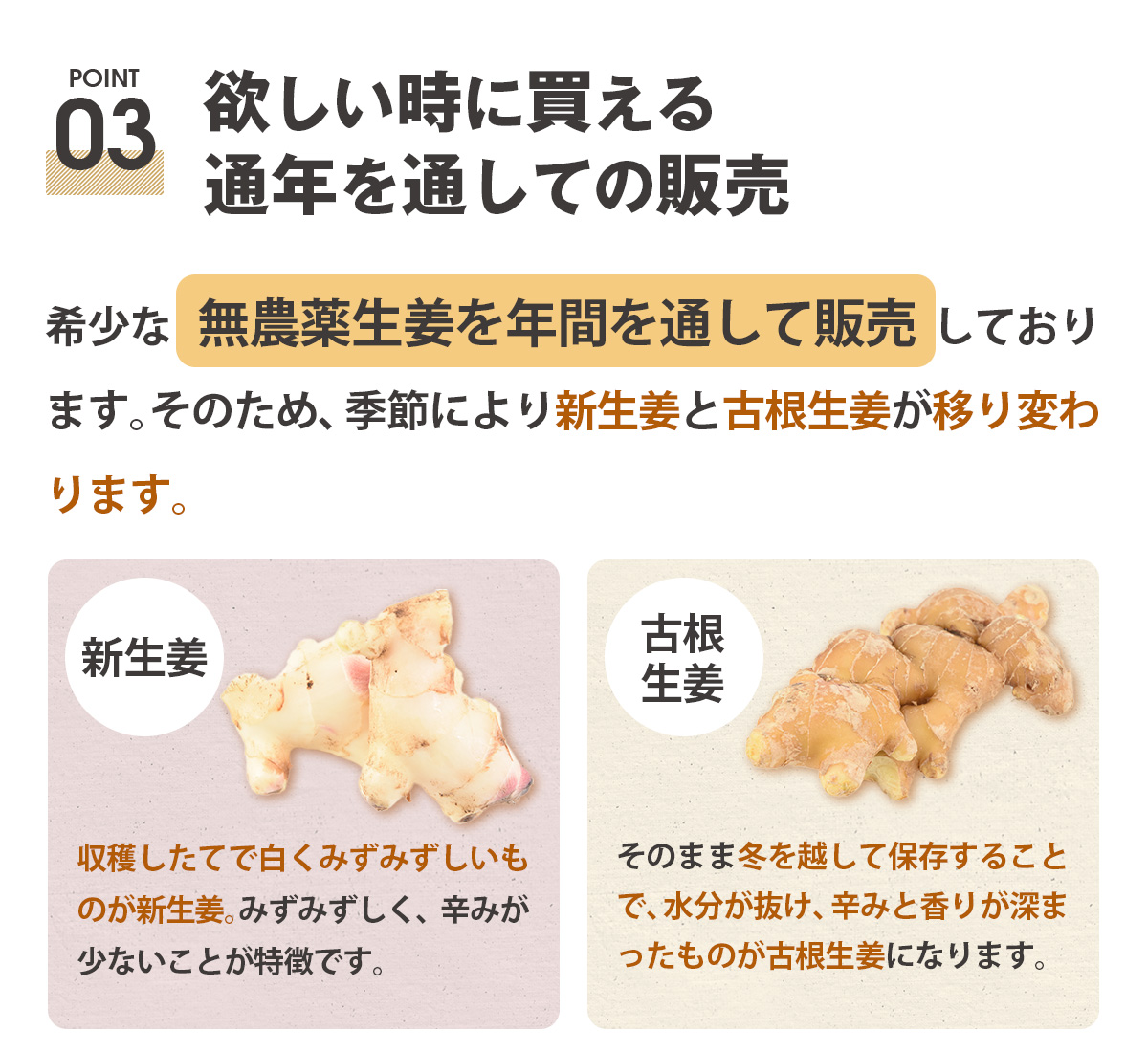 生姜 無農薬 1kg 2kg 3kg 4kg 長崎県産 国産 古根 しょうが ショウガ