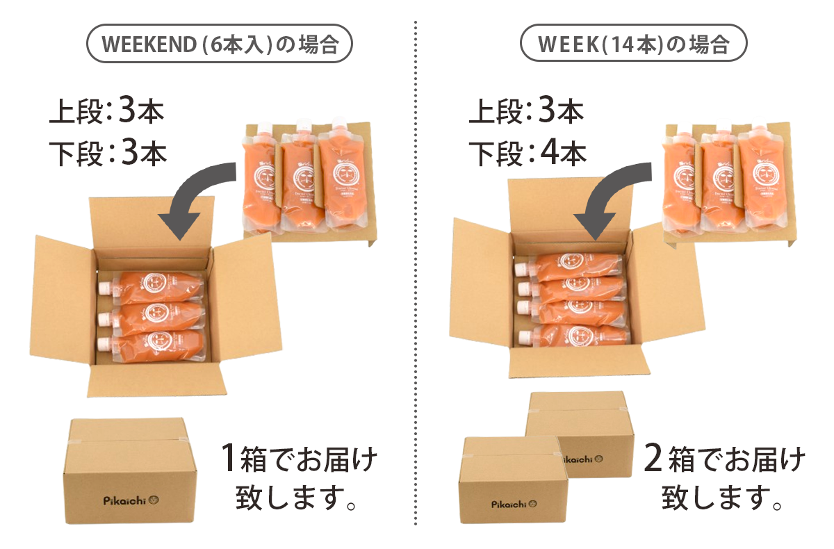 ファスティング セット 石原新菜医師監修 ドクタークレンズ 3本 6本 14 