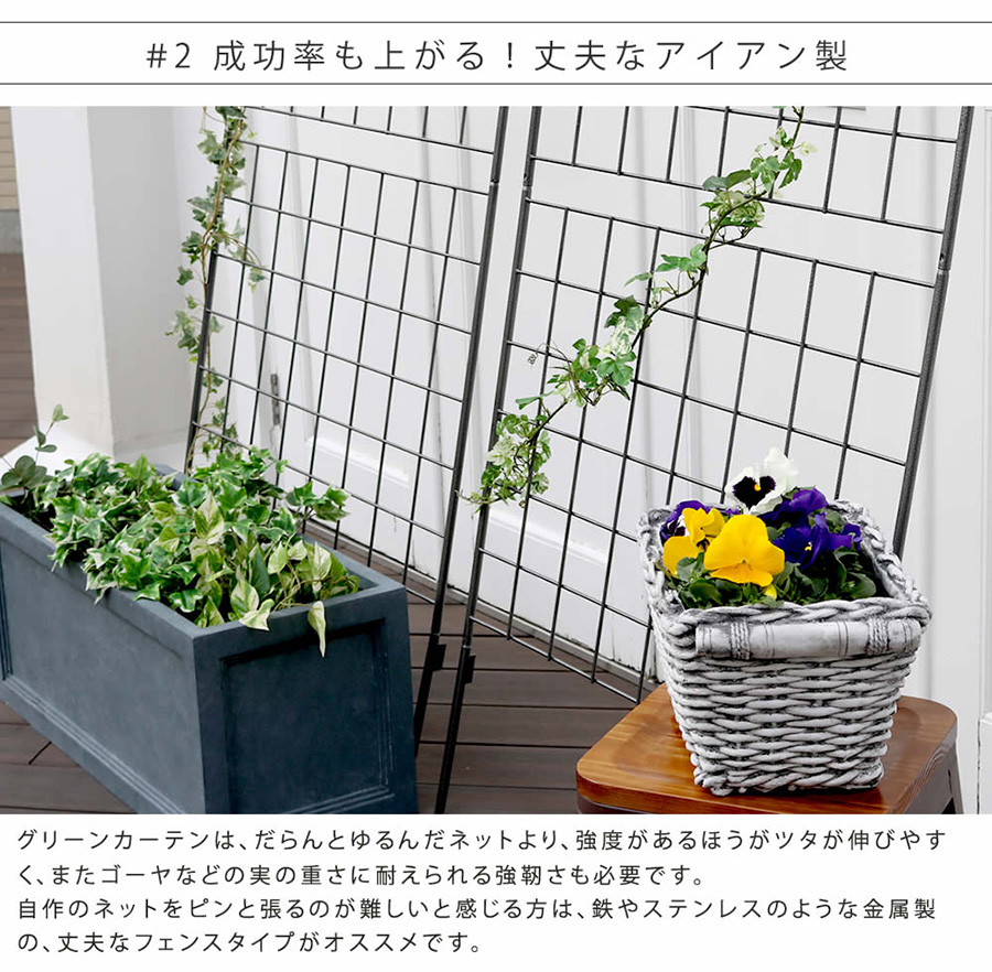 花籠グリーンセンターカーテン 金華山 トラックセンターカーテン 花籠