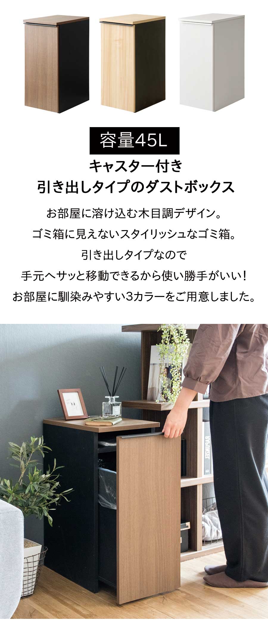 ダストボックス ゴミ箱 ごみ箱 収納 取り外し リビング