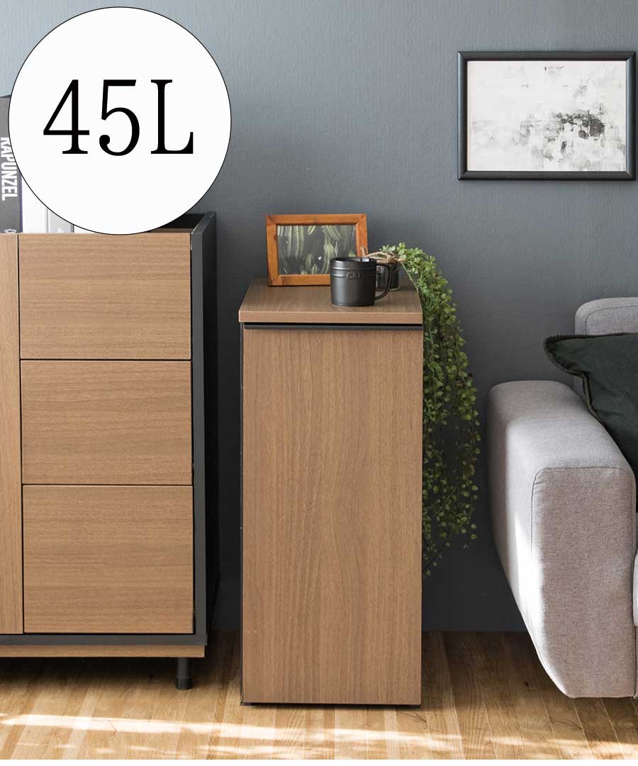 ダストボックス ゴミ箱 ごみ箱 収納 取り外し リビング ダイニング