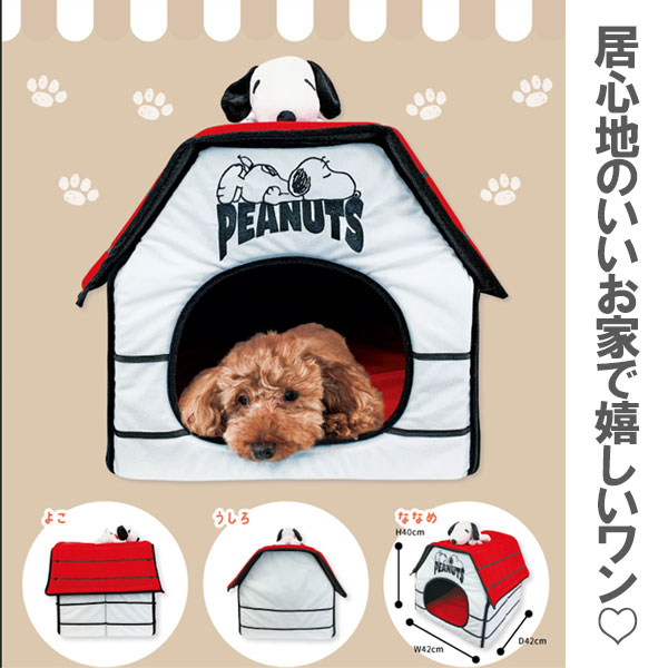 pi-snoopy-new4.jpg