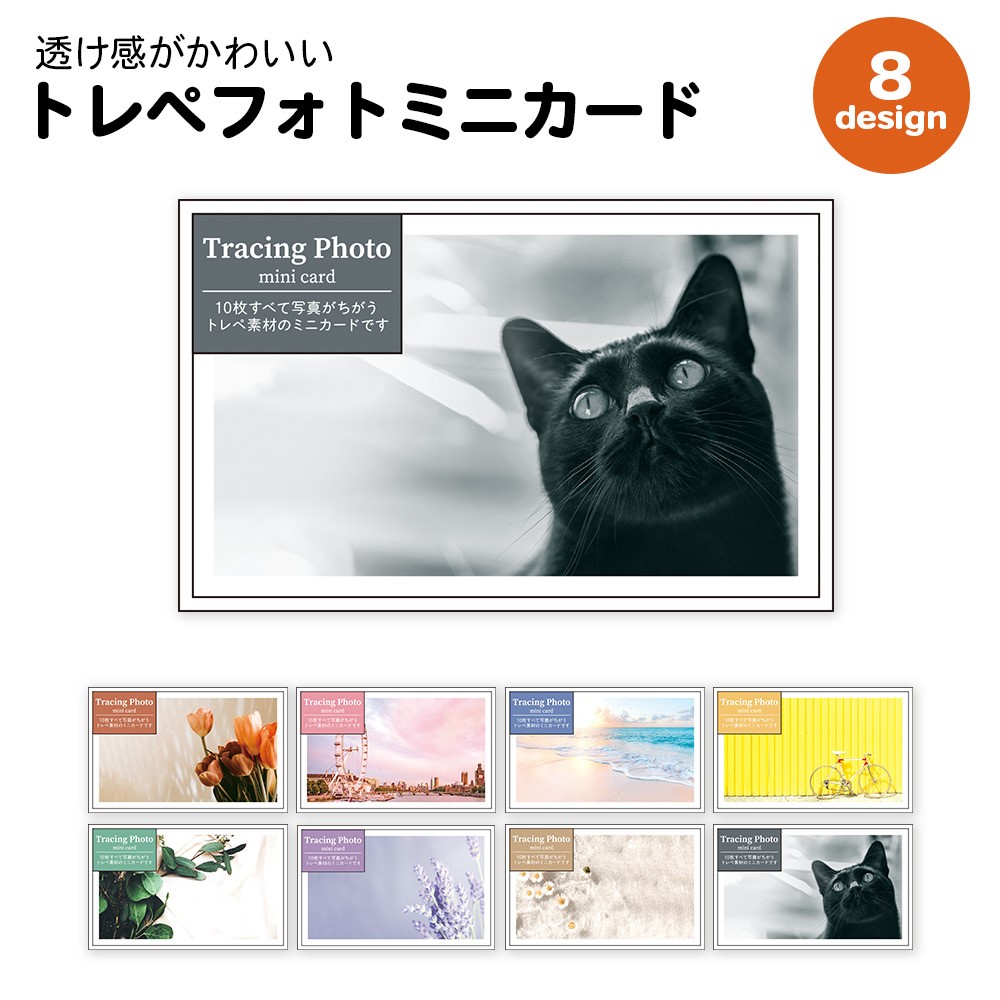 トレペフォト ミニカード メッセージカード 誕生日カード メッセージ