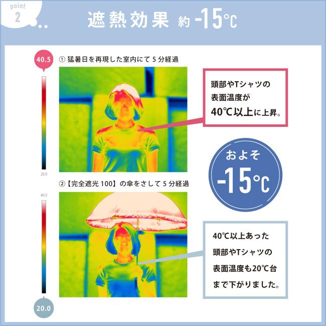 夏休み特別企画♪ ストラクチャルフレア １６ml＆５５mlの２色セット 2025年販売開始♪ 最新製品!! ストラクチャル フレア