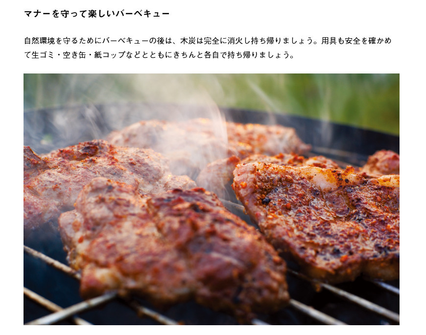 LOGOS 在庫処分 炭 成型炭 練炭 着火剤 エコココロゴス ラウンド
