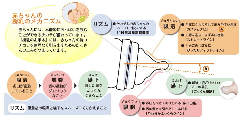 哺乳瓶 テテオ teteo 授乳のお手本 哺乳びん 耐熱ガラス製 240ml （Mサイズ乳首付） combi ほ乳びん ビン ベビー 赤ちゃん ミルク  ほ乳ビン コンビ baby :4972990147040:ピンキーベビーズ - 通販 - Yahoo!ショッピング