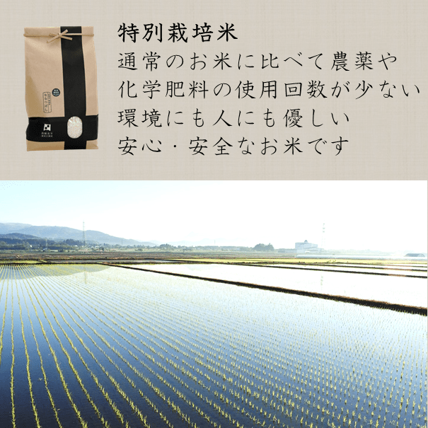 令和5年産 新米 ななつぼし 5kg 北海道米 一等米 特別栽培米 減農薬