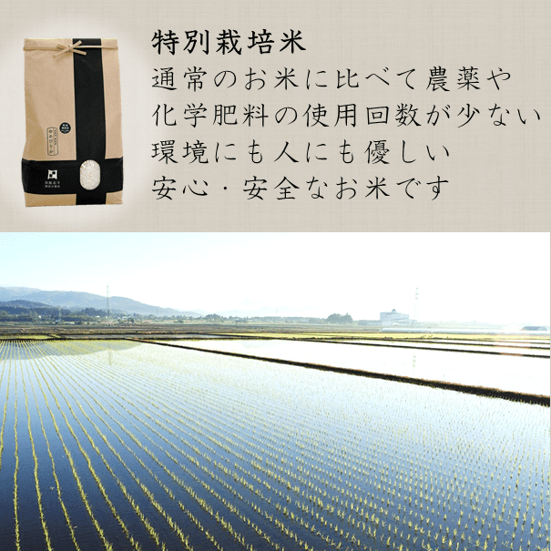 令和5年産 新米 減農薬 特別栽培米 北海道米 人気銘柄4種セット お米