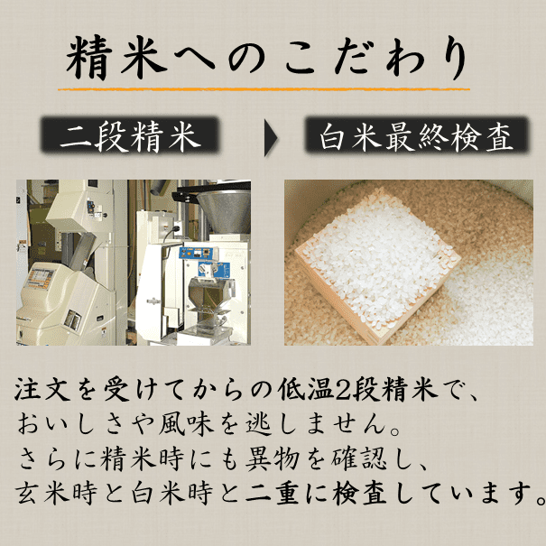 令和5年産 新米 ななつぼし 5kg 北海道米 一等米 特別栽培米 減農薬