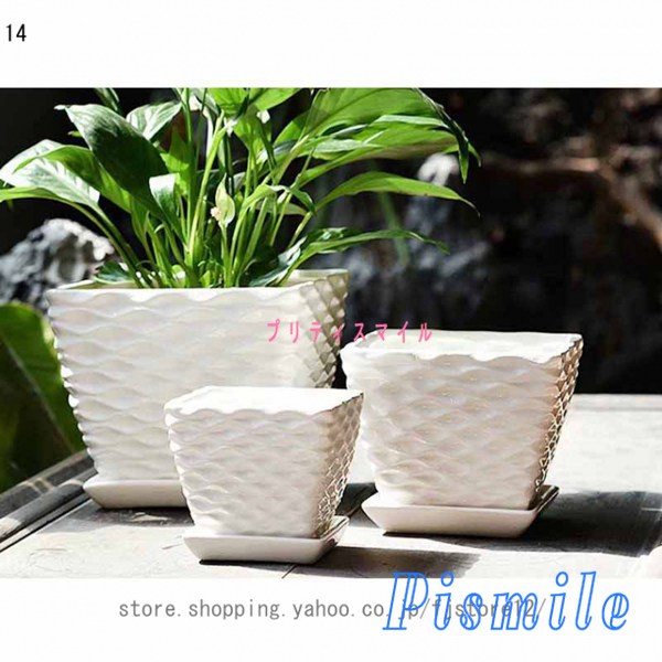 Ramat Planter #213 検索: 植木鉢 陶器鉢 くらい 作家鉢 プランター