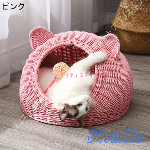 ピンク色のぴんくちゃん」東京都 - 猫の里親募集(66347) 5枚目の