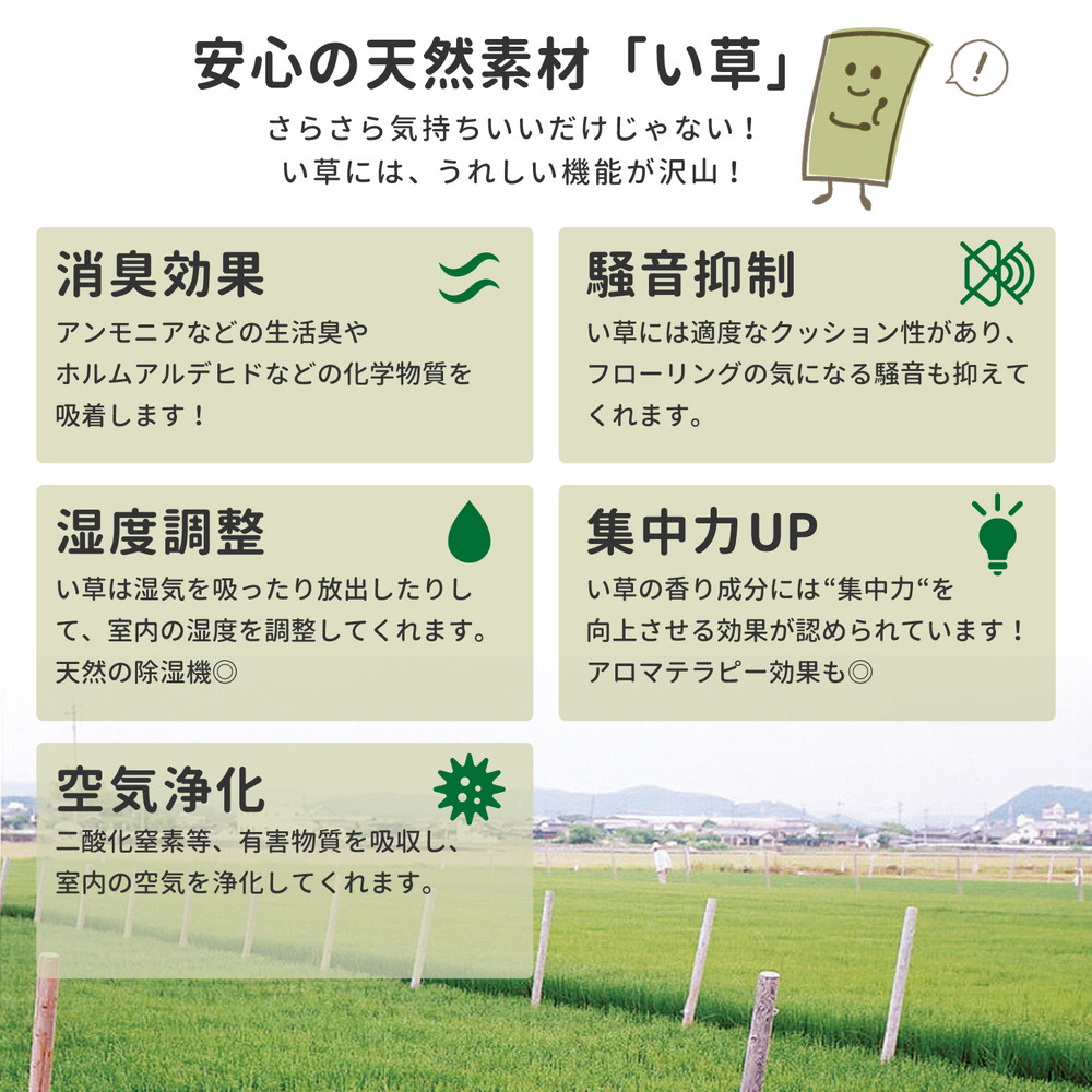 い草ラグ
