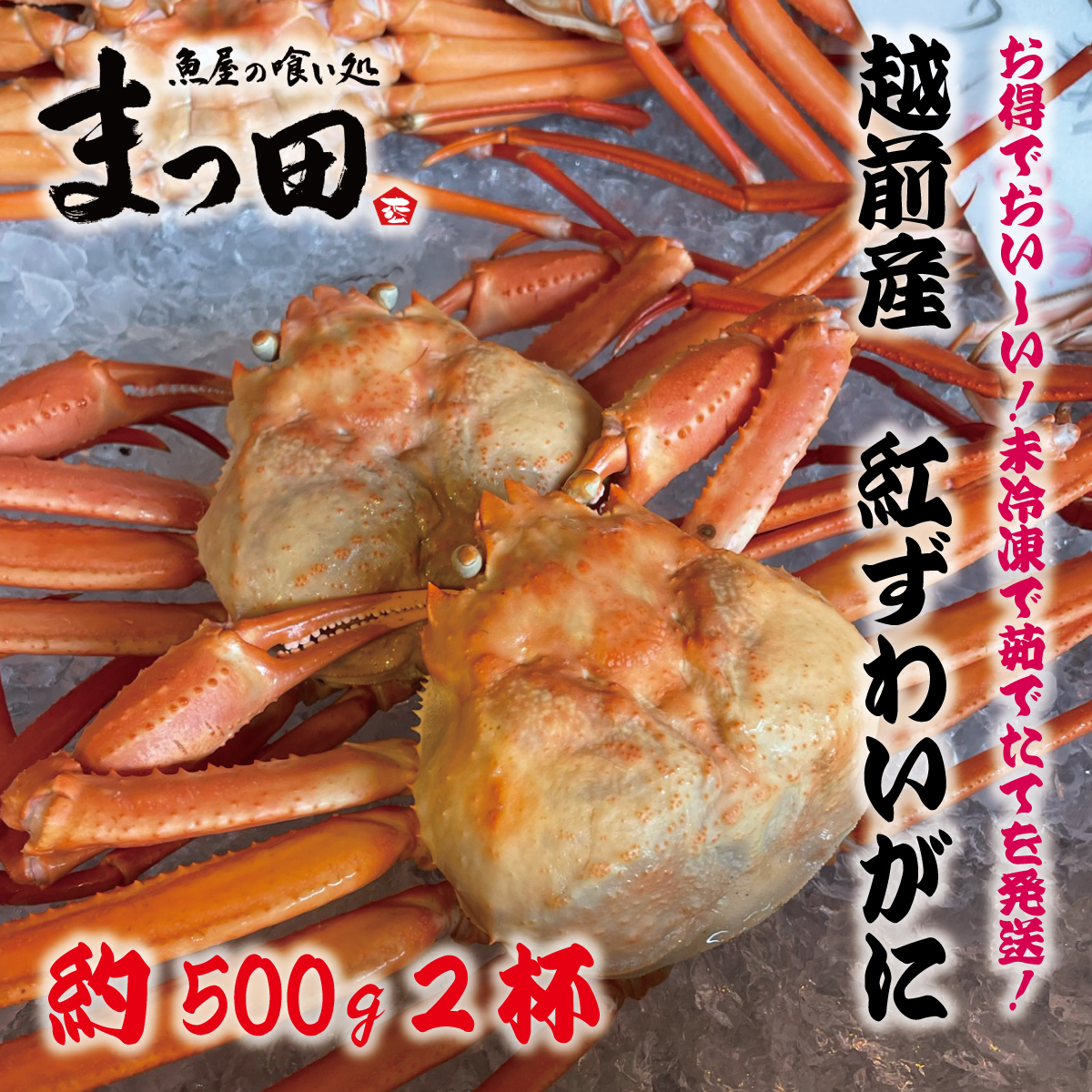 かに ベニズワイガニ 紅ズワイガニ ずわいがに 紅ずわいがに 約500ｇ2杯 カニ 蟹 越前産 ボイル 敬老の日 ギフト  :bz001:魚屋の喰い処まつ田 - 通販 - Yahoo!ショッピング