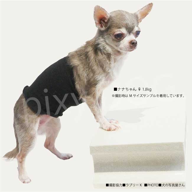 【ネコポス発送可】犬服 クークチュール 2023 秋冬 テラヘルツワン シルク腹巻 ヘルニア 腰痛 防寒 あったか 免疫力 介護 シニア 腹巻 虚弱