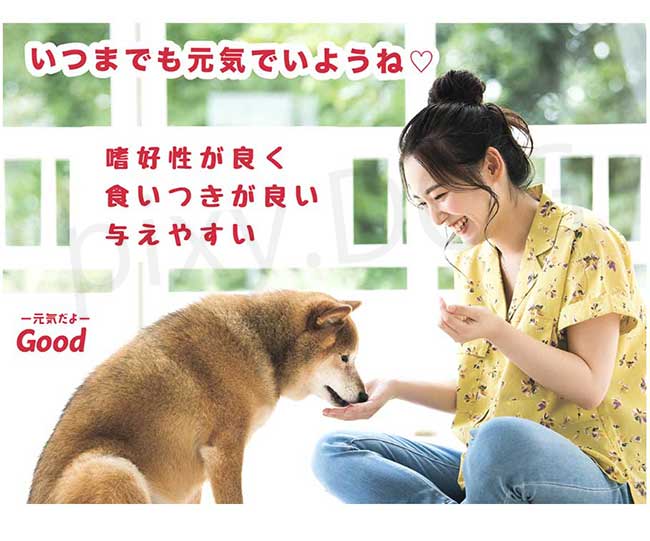 NMNわんにゃんサプリGood 犬猫用 モアリッチ株式会社 おやつ 完全無添加 手作りごはん サプリメント