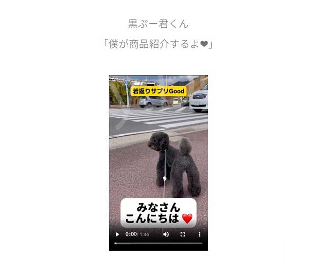 NMNわんにゃんサプリGood 犬猫用 モアリッチ株式会社 おやつ 完全無添加 手作りごはん サプリメント