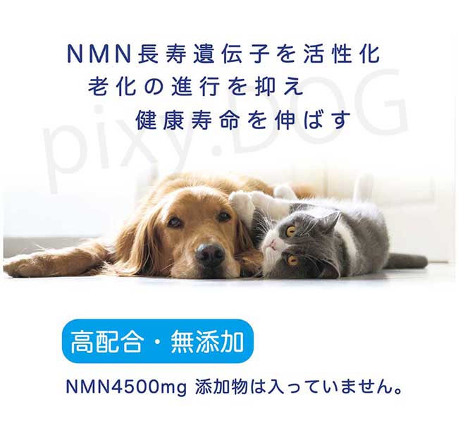 NMNわんにゃんサプリGood 犬猫用 モアリッチ株式会社 おやつ 完全無添加 手作りごはん サプリメント