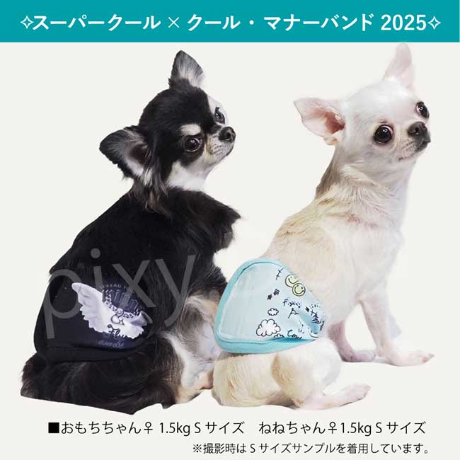 【ネコポス発送可】犬服 クークチュール 2025 スーパークール×クール マナーバンド2025 ベルト トイレ 散歩グッズ 防虫 蚊 ダニ 抗菌 消臭 UVカット