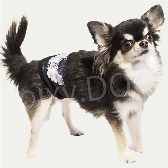 【ネコポス発送可】犬服 クークチュール 2025 スーパークール×クール マナーバンド2025 ベルト トイレ 散歩グッズ 防虫 蚊 ダニ 抗菌 消臭 UVカット