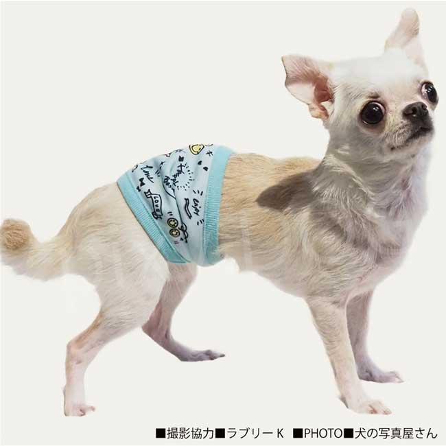 【ネコポス発送可】犬服 クークチュール 2025 スーパークール×クール マナーバンド2025 ベルト トイレ 散歩グッズ 防虫 蚊 ダニ 抗菌 消臭 UVカット