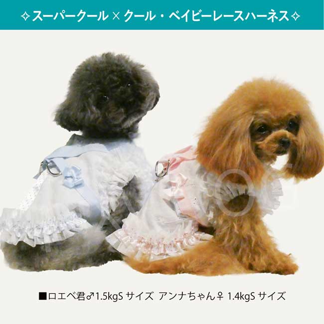 ネコポス発送可】犬服 クークチュール 2026 スーパークール×クール