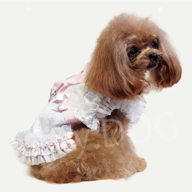 ネコポス発送可】犬服 クークチュール 2026 スーパークール×クール