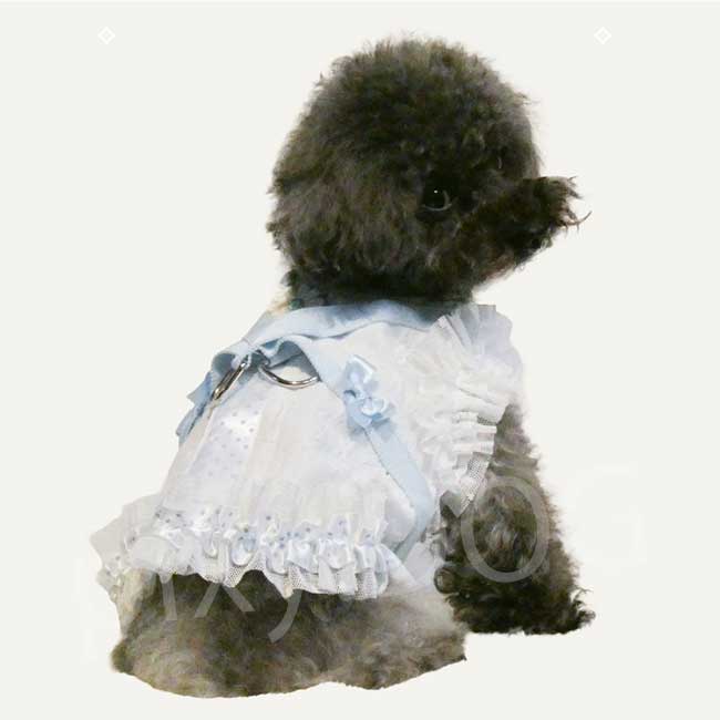 ネコポス発送可】犬服 クークチュール 2026 スーパークール×クール