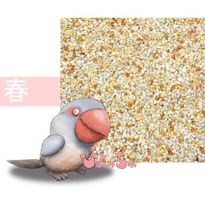 カエデ鳥・文鳥春用ブレンド 1kg