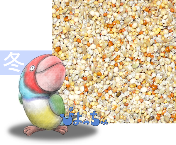 カエデ鳥・文鳥冬用ブレンド　500g×2 | 