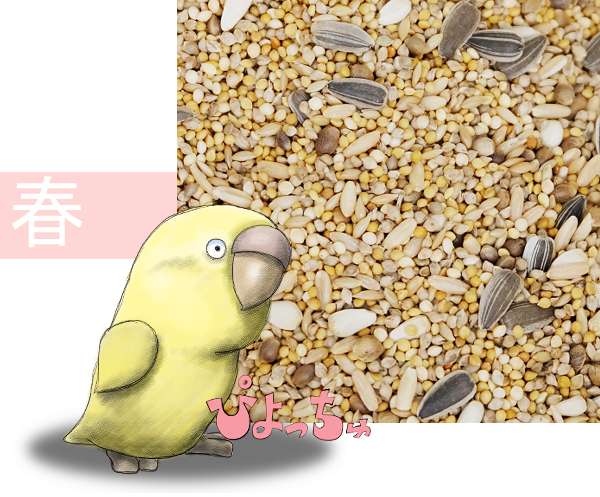 ���u�o�[�h�E�}�������n�E���^�C���R�t�p�u�����h�@5kgx2