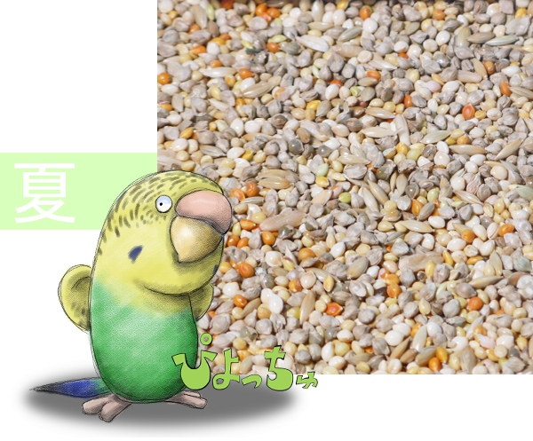 �Z�L�Z�C�C���R�ėp�u�����h�@2.5kgx2