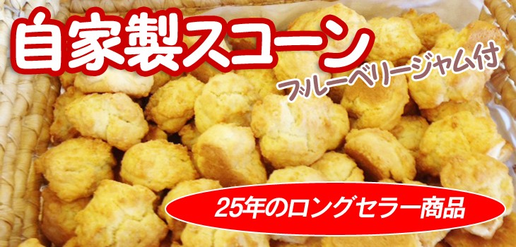 自家製スコーン