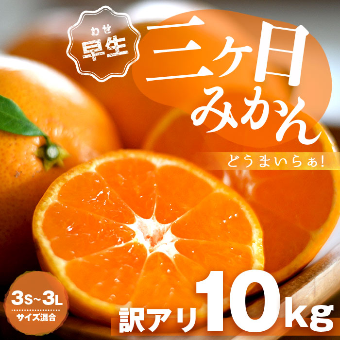 みかん 三ケ日みかん ミカン 10kg 訳あり 訳アリ 三ヶ日みかん 早生 三ヶ日 どうまいらぁ S ~ 3L サイズ不揃 産地直送 訳ありみかん  ミカン 蜜柑 10キロ 静岡県 :701011:Plaisir プレジール - 通販 - Yahoo!ショッピング