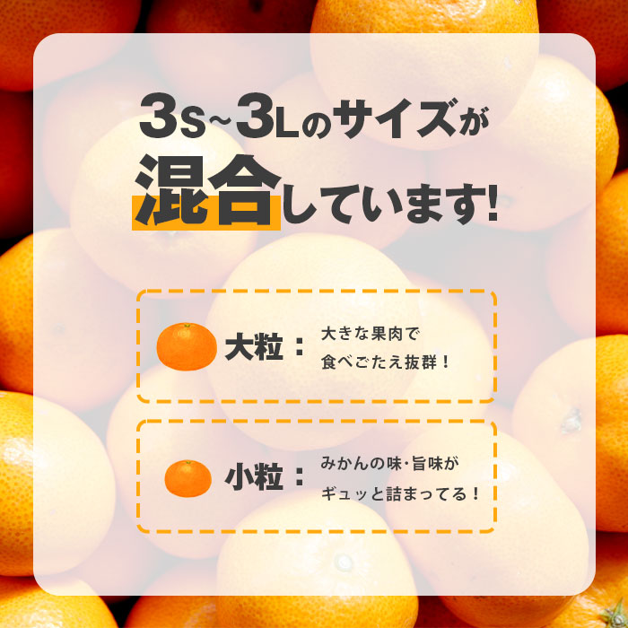 みかん 三ケ日みかん ミカン 10kg 訳あり 訳アリ 三ヶ日みかん 早生 三ヶ日 どうまいらぁ S ~ 3L サイズ不揃 産地直送 訳ありみかん  ミカン 蜜柑 10キロ 静岡県 :701011:Plaisir プレジール - 通販 - Yahoo!ショッピング