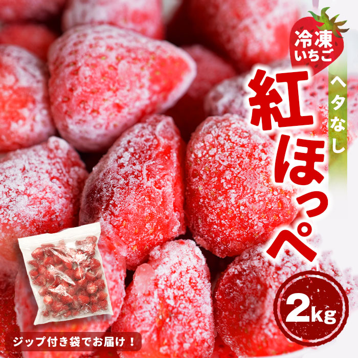 限定セール中 イチゴ加工用4kg 紅ほっぺ - 果物