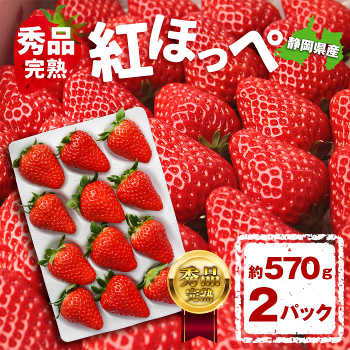 紅ほっぺ いちご イチゴ 苺 570g 18〜30玉入り 2パック 良品 直送 国産