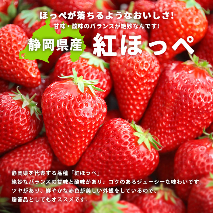 完璧 完全無農薬栽培 果実が大きく甘味がある紅ほっぺ大株1株不織布1 