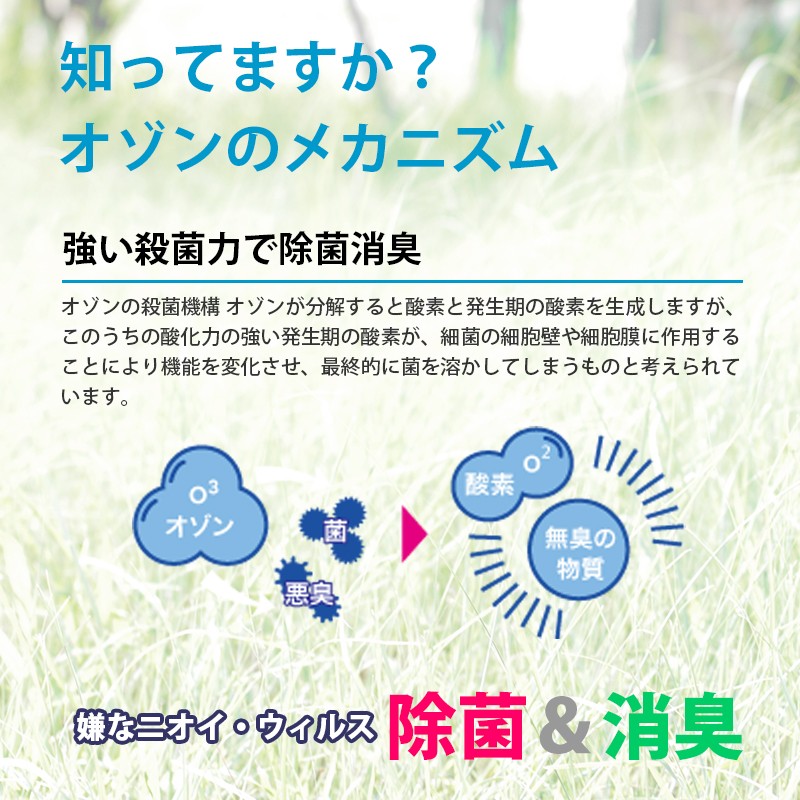 数量限定 特売 オゾン発生器 おすすめ オゾン 発生器 オゾン脱臭器 脱臭 消臭 除菌 He 150hg 高出力オゾン発生器 4000mg Hr 消臭 除菌 車用 室内用 業務用 オゾン脱臭機 数量限定 Kuljic Com