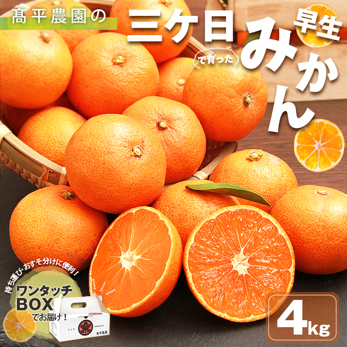 みかん 三ヶ日 4kg ミカン 4キロ mikan 高平農園 三ケ日 静岡産 農家