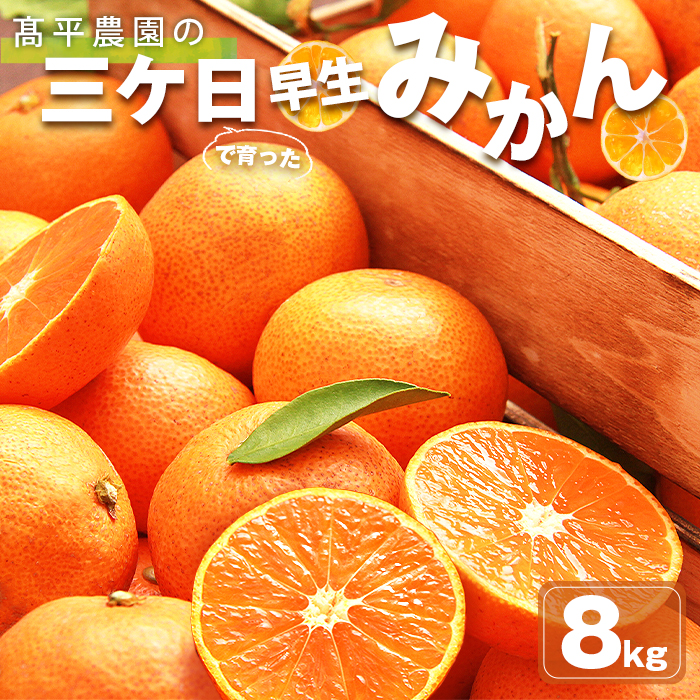 みかん 三ヶ日 8kg ミカン 8キロ mikan 高平農園 三ケ日 静岡産 農家