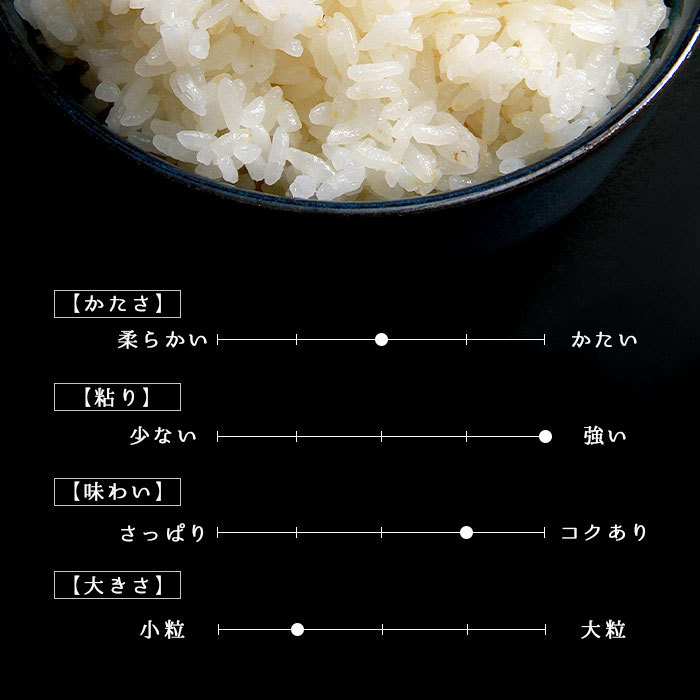 米 お米 10kg 10キロ 国産 ミネアサヒ 愛知県産 愛知県 白米 おこめ