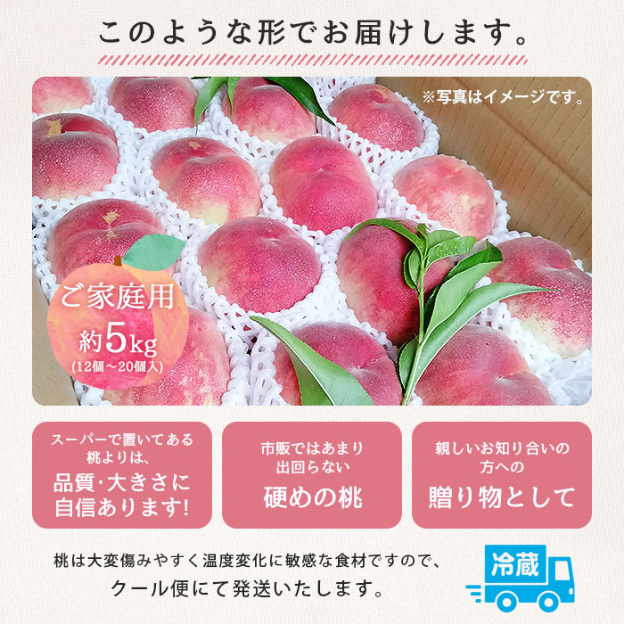 桃 もも モモ 家庭用 自宅用 5kg 5キロ 直送 国産 山梨県産 山梨 山梨県 果物 日本産 フルーツ 冷蔵 クール便 取り寄せ 産地直送 農家直送 高糖度 甘い 大玉 旬