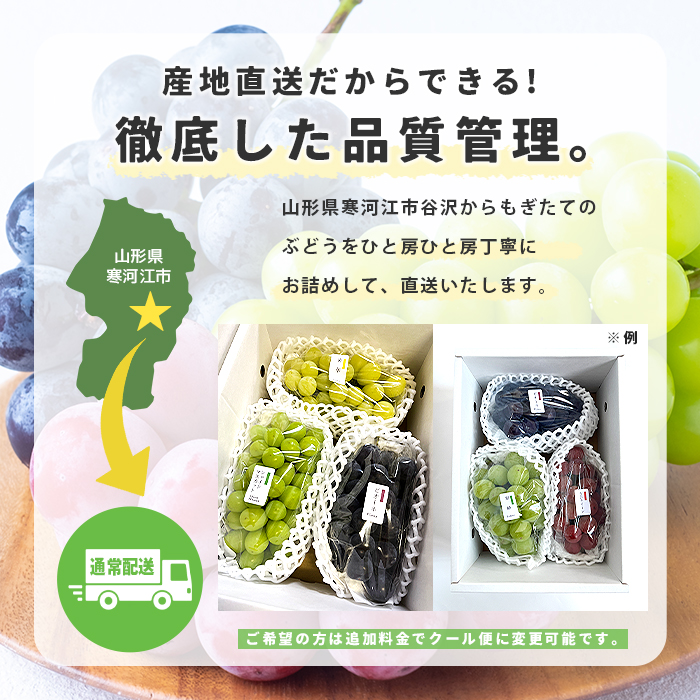 【クール便】クインニーナ　糖度20度程度　4房　ぶどう　葡萄　ブドウ　クール便 ぶどう品種おまかせセット 食べ比べ ぶどう ブドウ 葡萄