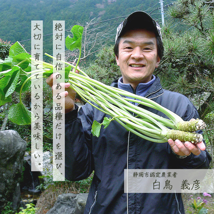 生わさび 有東木 L(70-90g)2本 わさび 山葵 wasabi 手土産 おギフト お試し 生わさびおろし器 静岡産 生わさびの保存方法 産地直送  本わさび 直売 日本最古 :wasabi004-2:Plaisir プレジール - 通販 - Yahoo!ショッピング