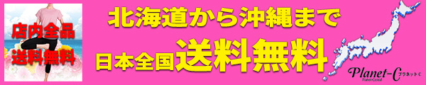 送料無料