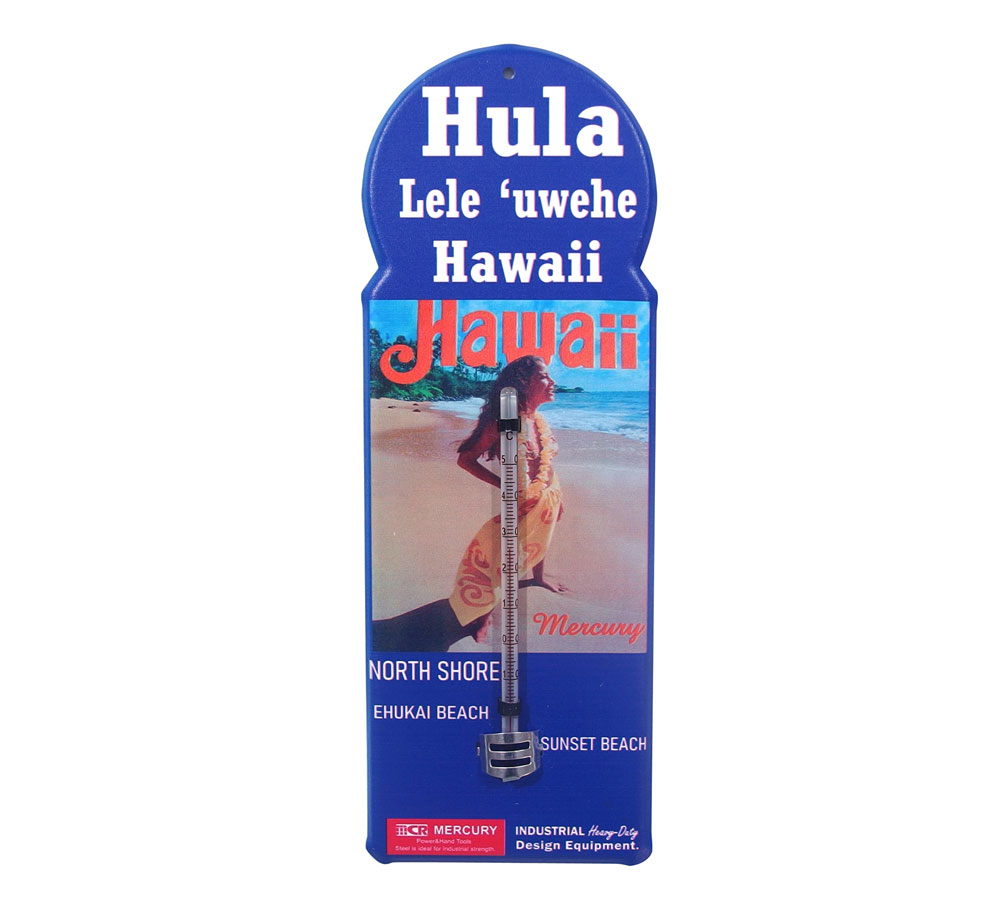 ޡ꡼ ٷ  ꥫ ϥ磻 ƥꥢ  졼 ɳݤ  ä ᡼ G.S. Hula Hawaii