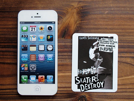 ステッカー フレイク(FLAKE) Skaters Destroyの目安サイズ